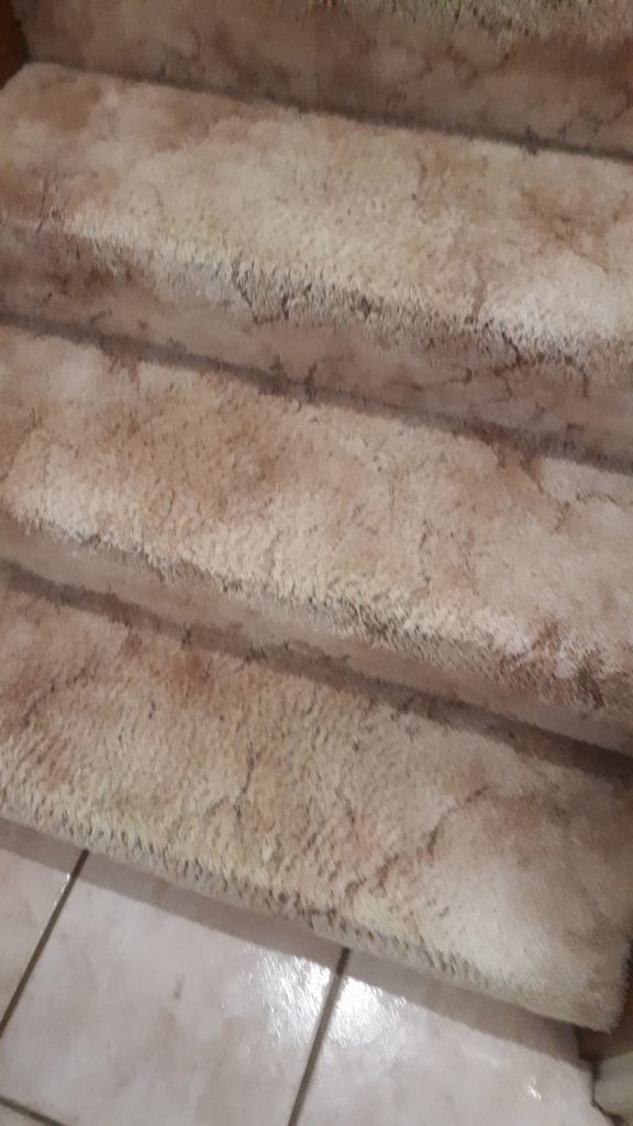 Steps after Cleaning